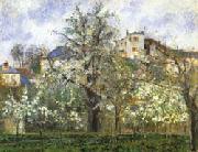 Camille Pissarro Vegetable Garden and Trees in Flower Spring USA oil painting reproduction
